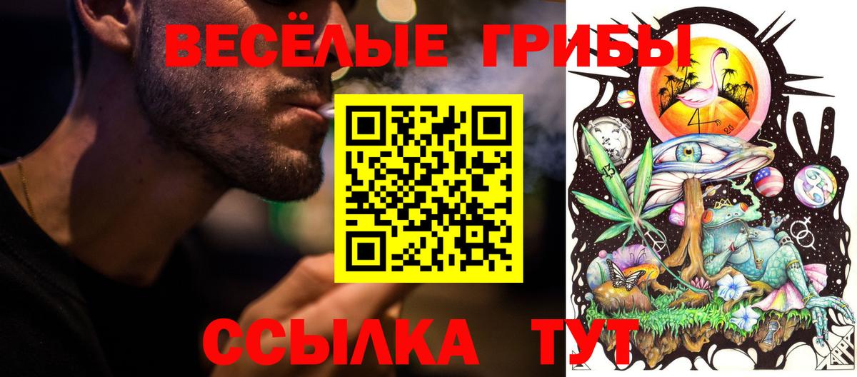 Галлюциногенные грибы Magic Shrooms Ульяновск